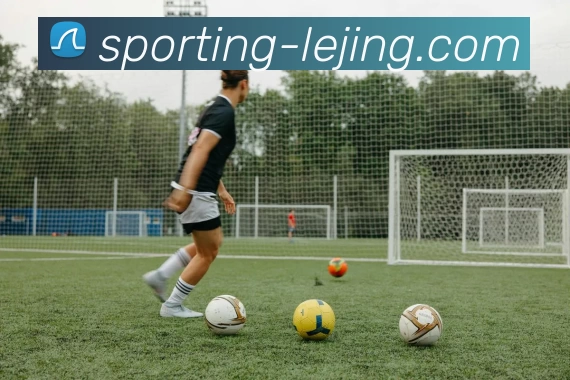 乐竞体育平台生态图